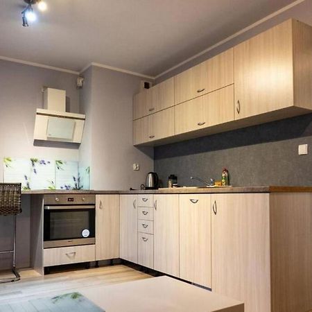 Mini Apartament Cracow / Krakow Z M. Postojowym Appartamento Esterno foto